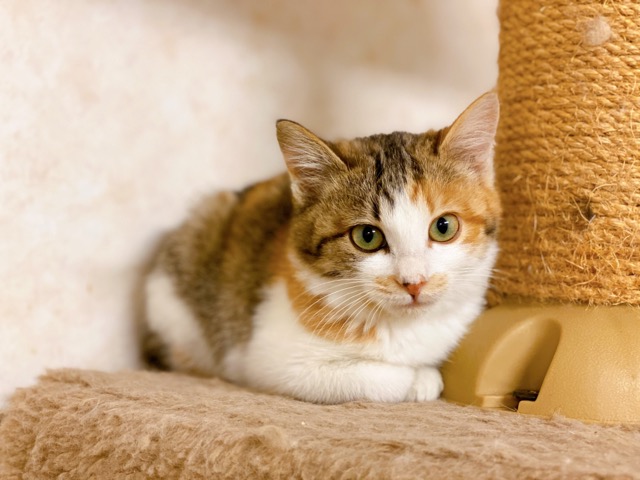 まおちゃん