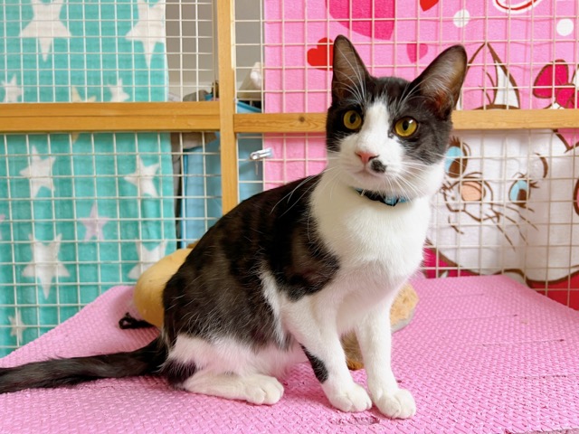 信長くん
