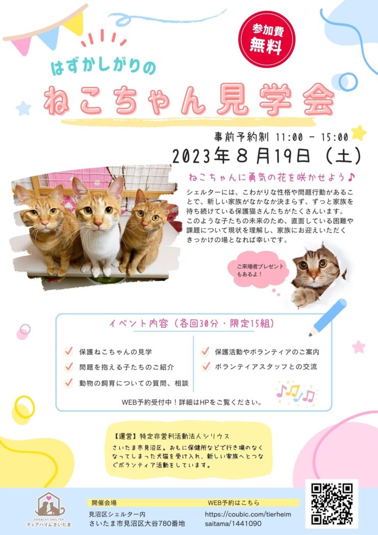 夏休み特別イベントのご案内「はずかしがりネコちゃん見学会」 | どうぶつシェルター ティアハイムさいたま｜保護犬・保護猫｜里親募集