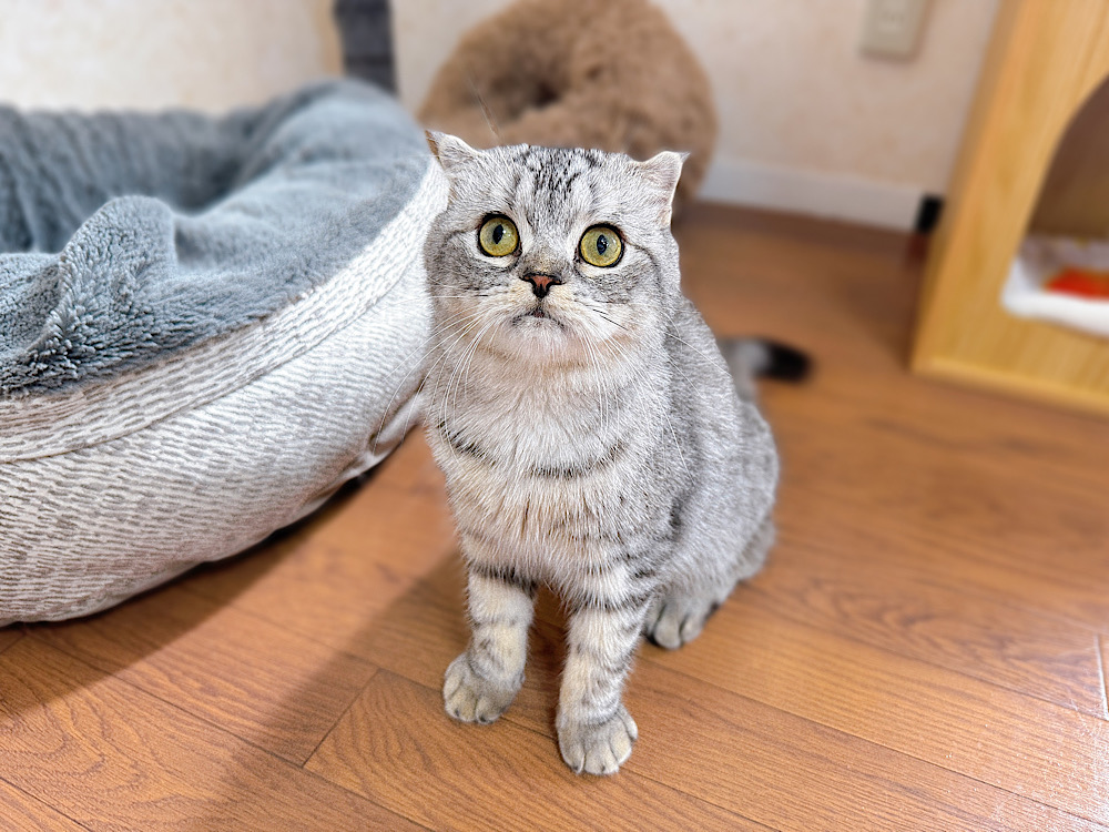 ぽたくん