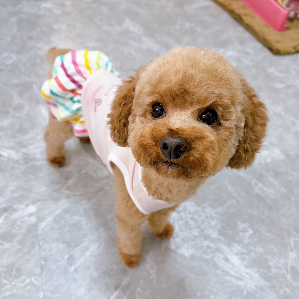もみじちゃん
