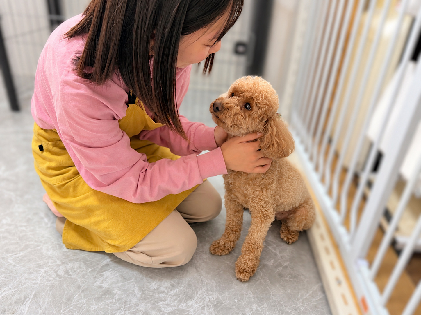 ティアハイムさいたまで暮らす保護犬・保護猫の日常