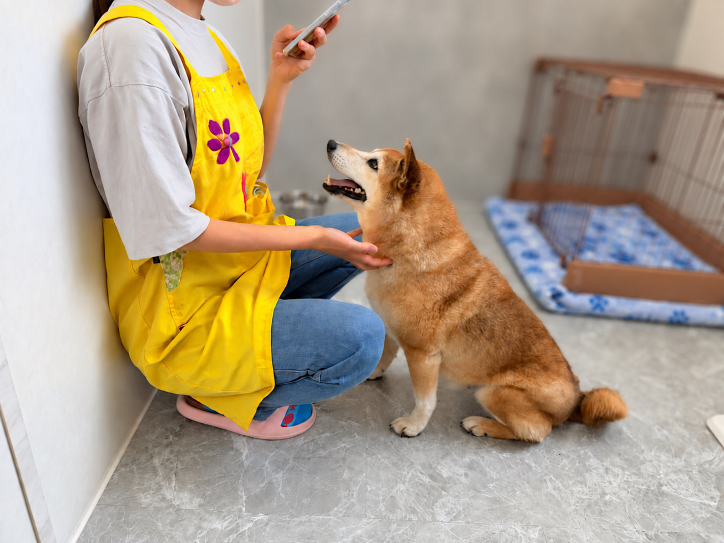 ティアハイムさいたまで暮らす保護犬の日常