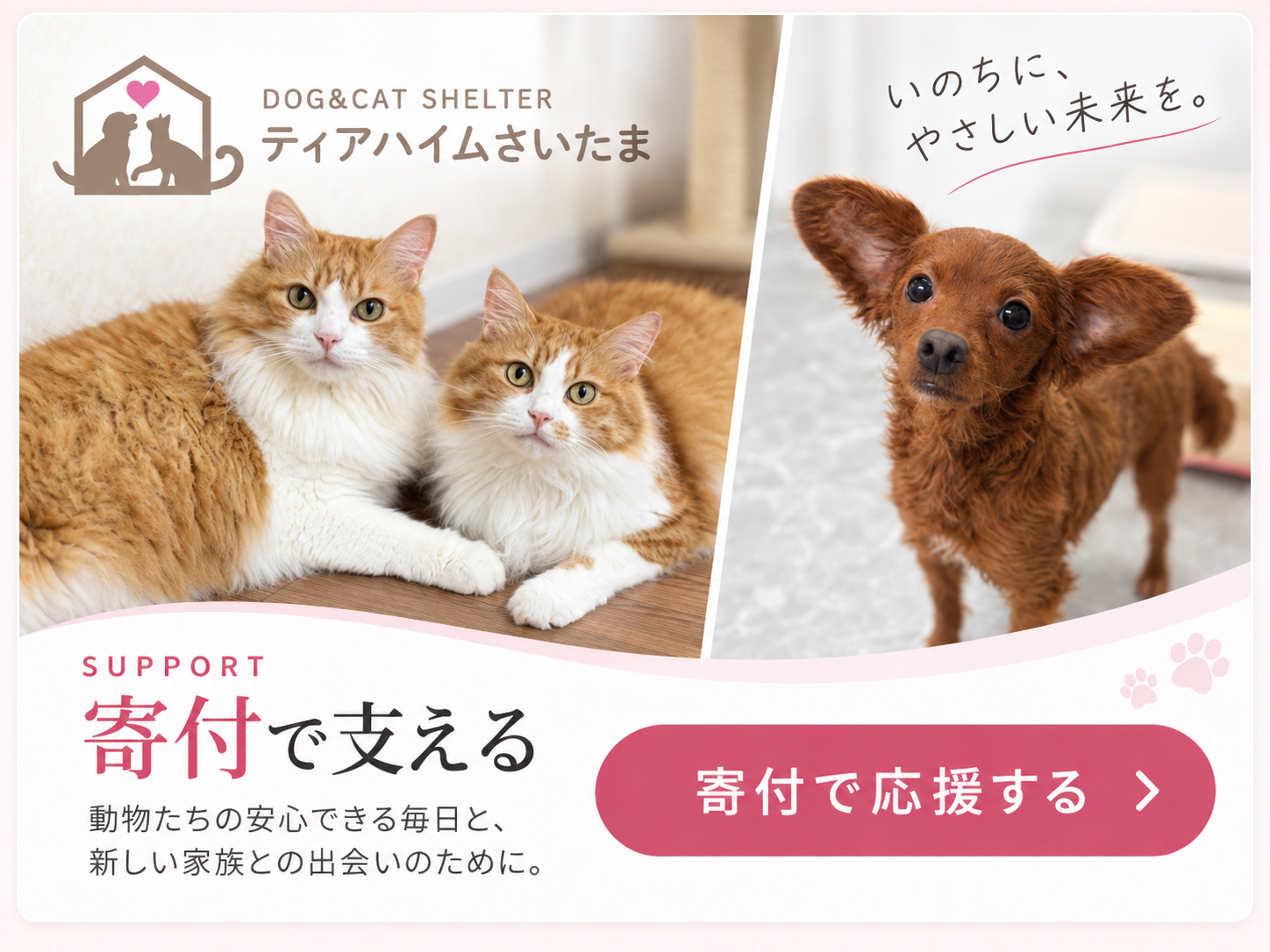 ティアハイムさいたま｜寄付で動物たちを支える